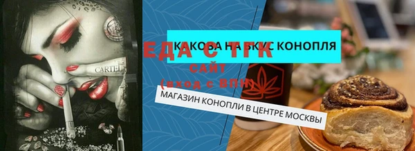 прущий лед Алзамай