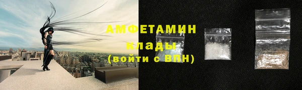 мет Алексин