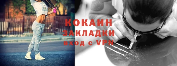 мет Алексин