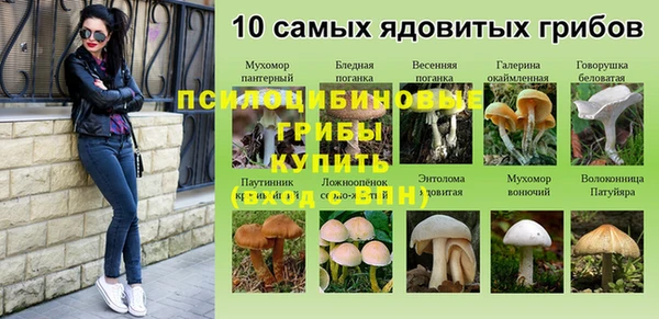 прущий лед Алзамай