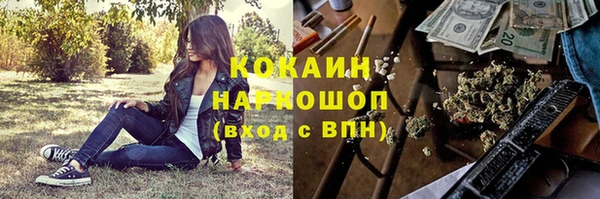 прущий лед Алзамай