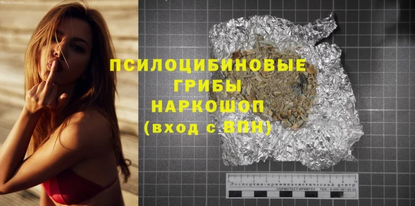 прущий лед Алзамай