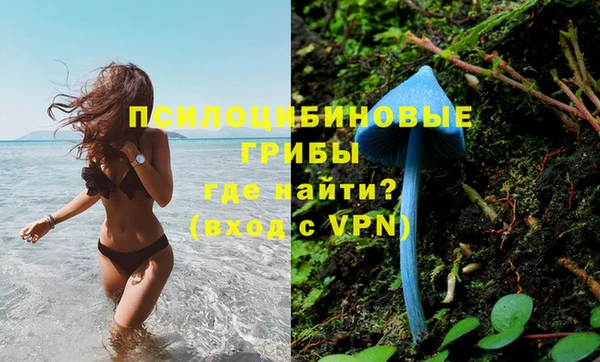 ПСИЛОЦИБИНОВЫЕ ГРИБЫ Новодвинск